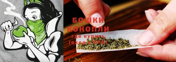 хмурый Богородск