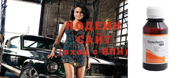 хмурый Богородск