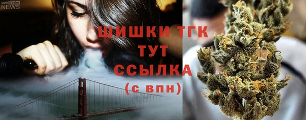 хмурый Богородск
