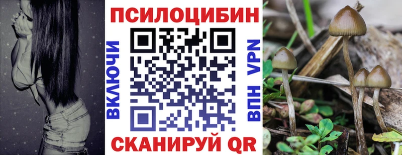 OMG ONION  Маркс  Галлюциногенные грибы Psilocybe 